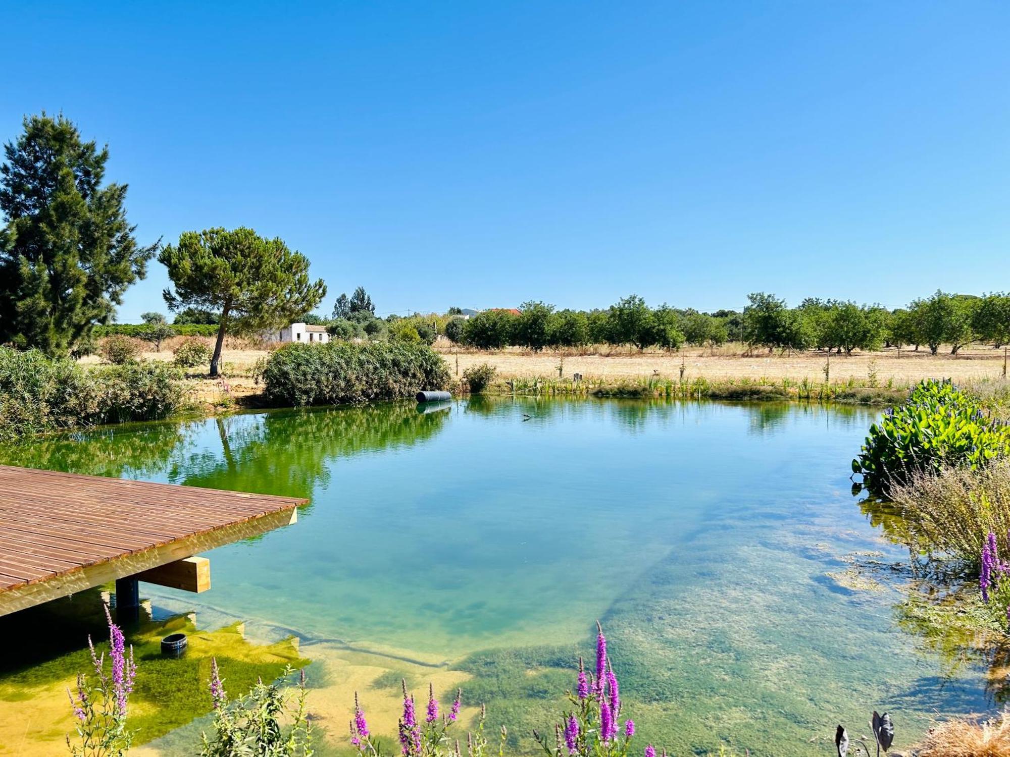 מונקאראפאצ'ו Glamping On Organic Yoga Farm With Natural Swimming Pool Near Beach מראה חיצוני תמונה